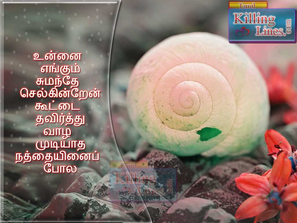 Sad Tamil Love Poem With HD Images | Tamil.Killinglines.com