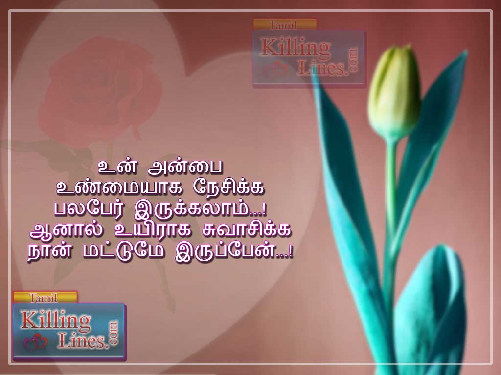 Tamil Kathal Kavithai Photos With Super Tamil Love Poems Lines Kavithaigal