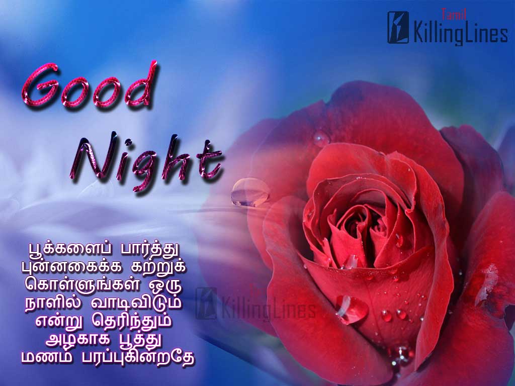 Good Night Picture Images Download | Tamil.Killinglines.com
