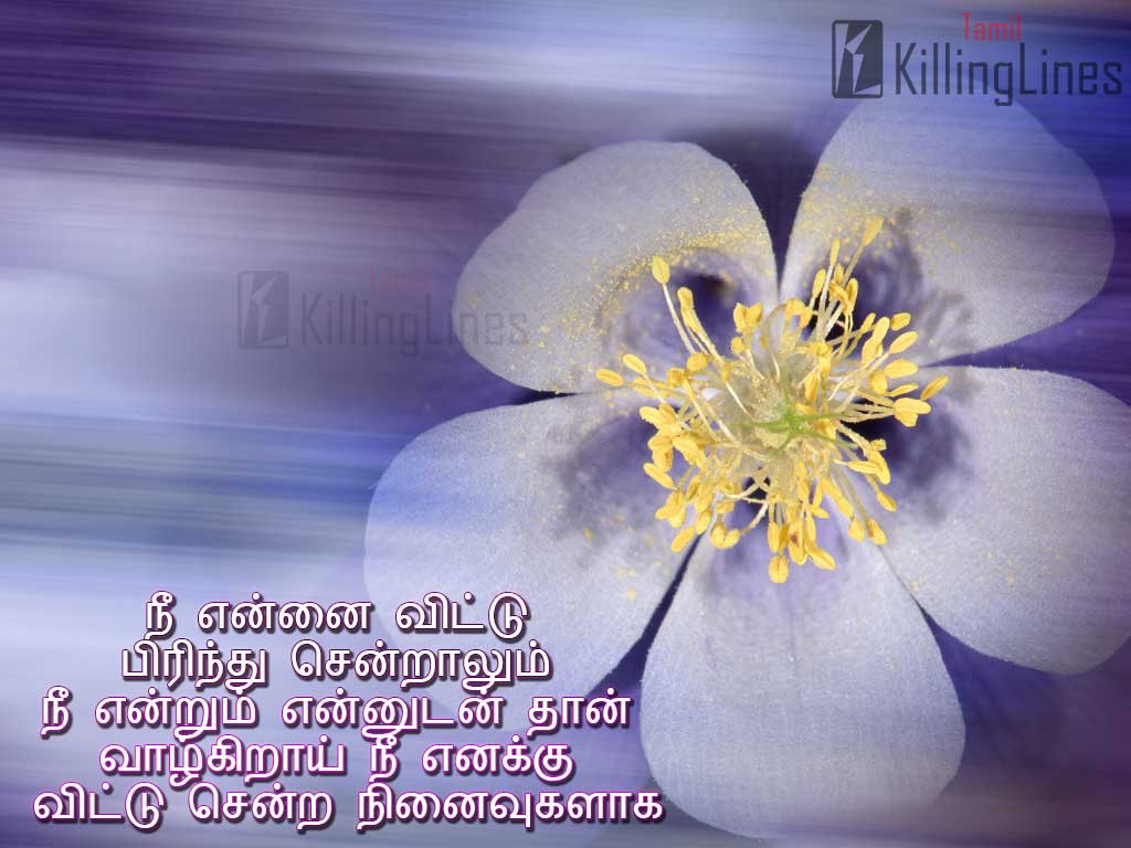 Sad Love Quotes In Tamil Photos Wallpapers | Tamil.Killinglines.com