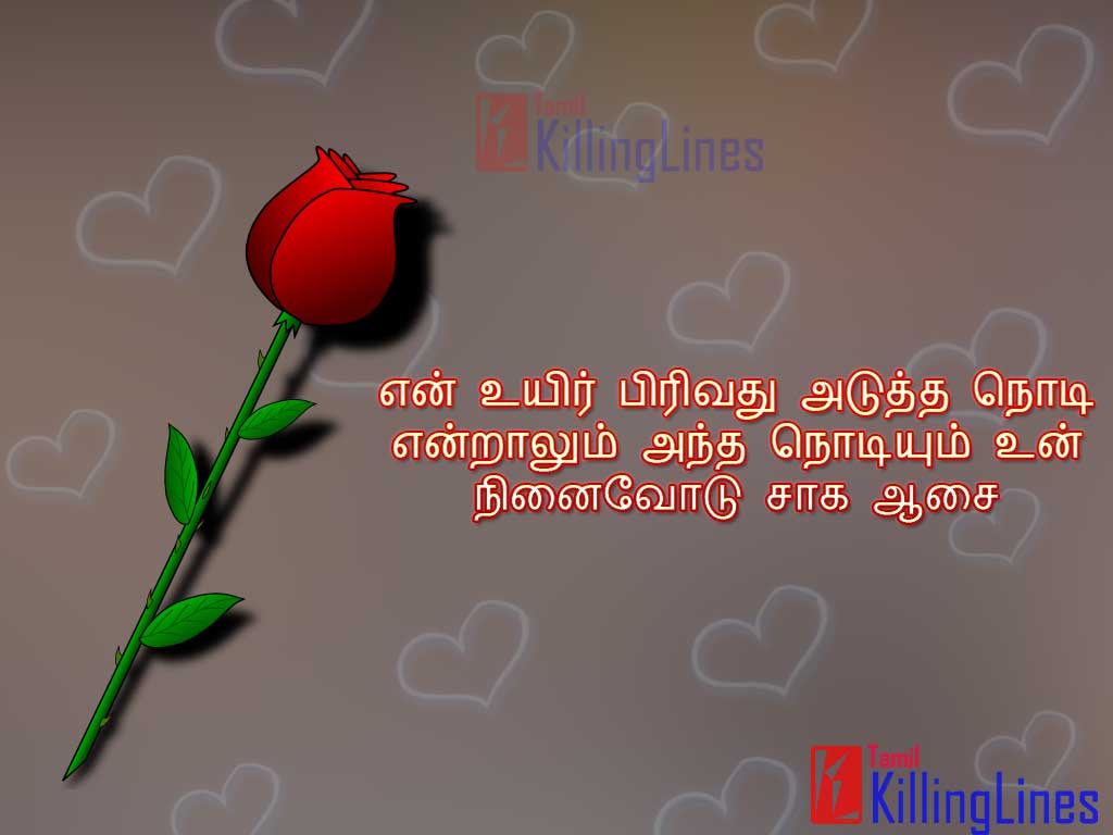 Love Images With Tamil Unmai Kadhal Kavithai Varigal For Share With Your Girlfriend Or Boyfriend
