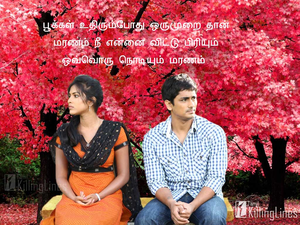 Love Sad Quotes With Images Tamil | Tamil.Killinglines.com