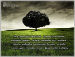 Tamil Quotes About Maram