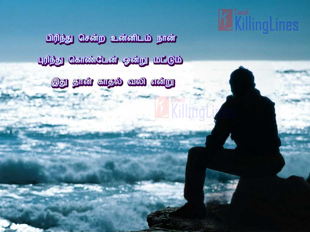 Latest Kathal Vali Tamil Poem Tamil Kathal Kavithai Pictures And Photos For Share On Facebook