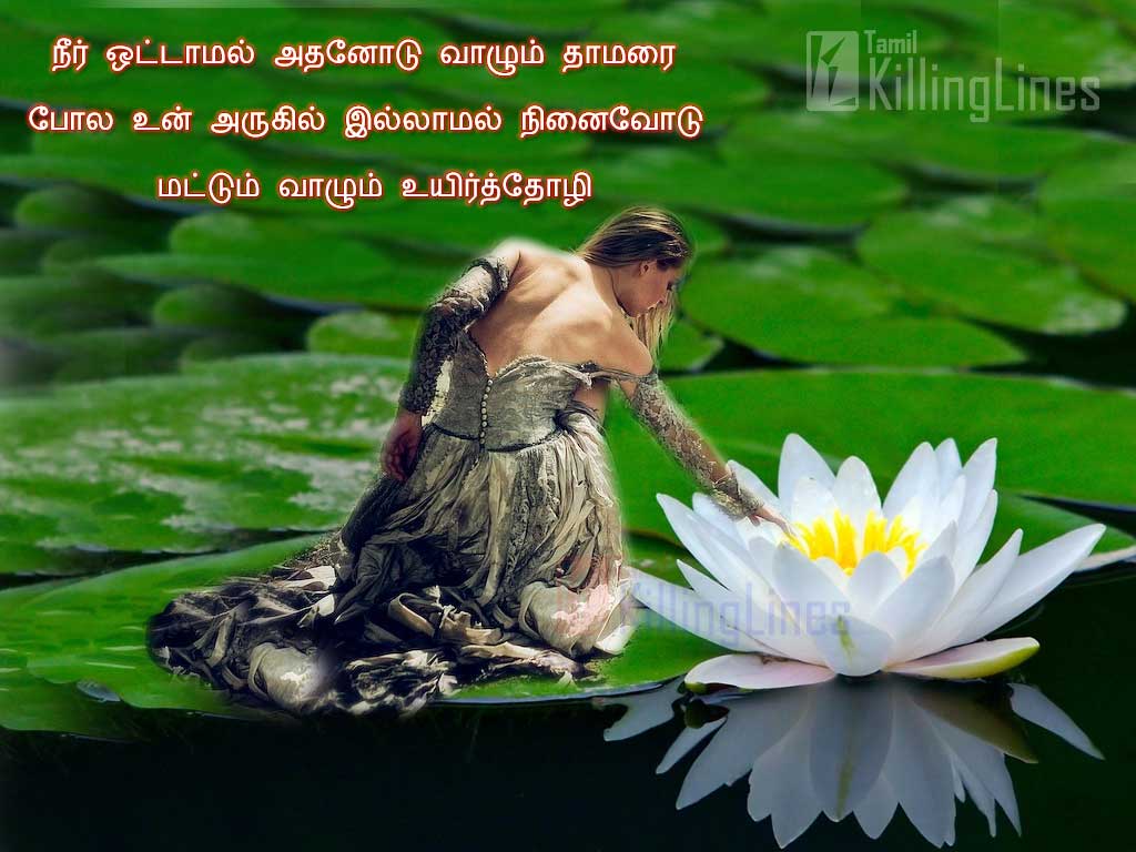 Thozhi Natpu Kavithai In Tamil | Tamil.Killinglines.com