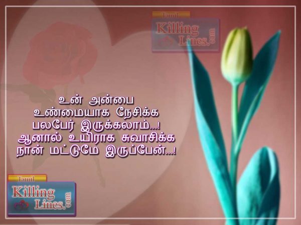 Tamil Anbu Kathal Kavithai Swasam | Tamil.Killinglines.com