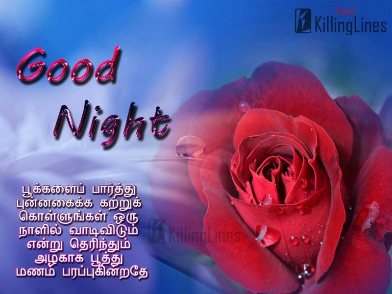 Good Night Wishes Images Greetings And Quotes (Iravu Vanakkam)