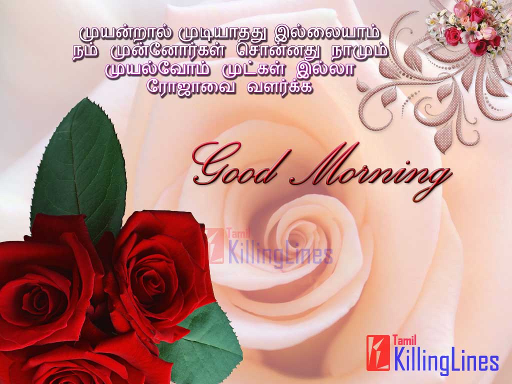 Good Morning Quotes And Sms In Tamil | Tamil.Killinglines.com